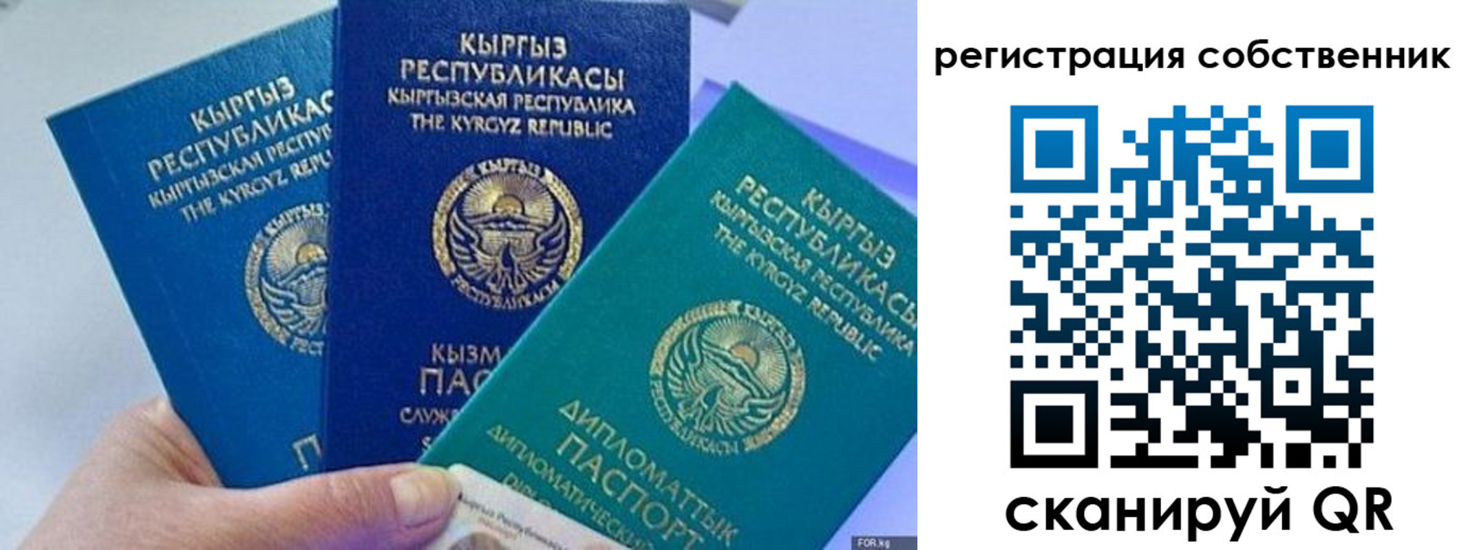 регистрация в Пионерском